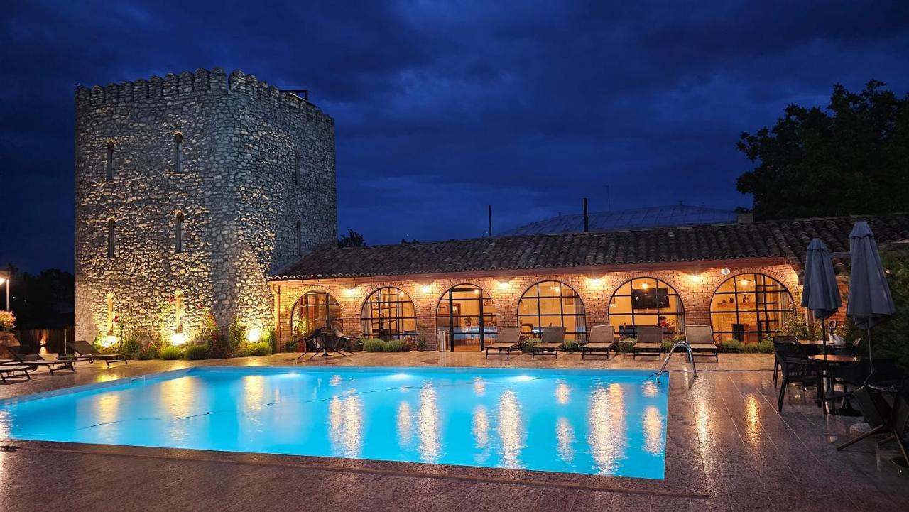 Giorgi Ushikishvilis Chateau-Marani Akhmeta Kültér fotó